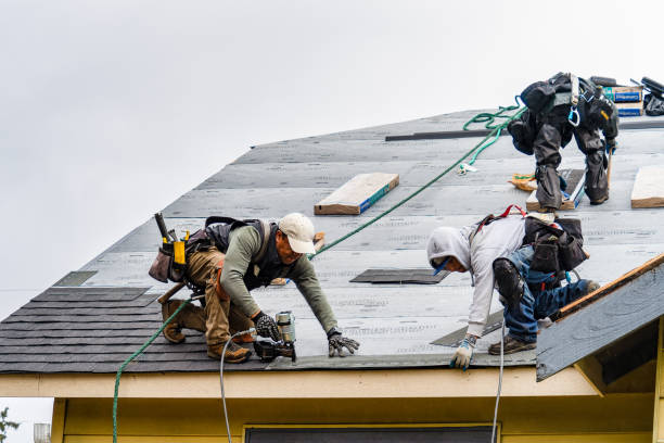 Professional Flat Roof Repair technician working in Morgantown, MS
